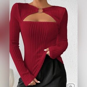 Elegant Eyelet Embroidery Metal Ring Decor Long Sleeve Shirt